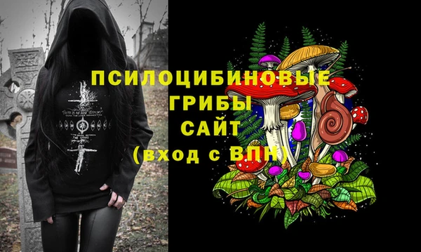 соль ск Алексин