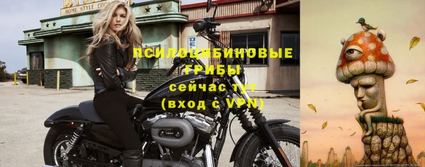 не бодяженный Алзамай